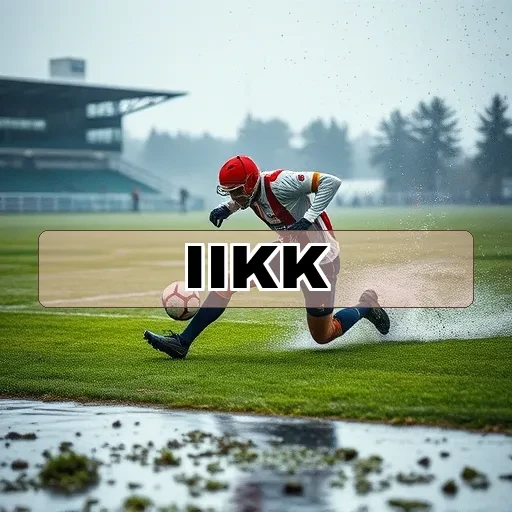 iikk.com Ação